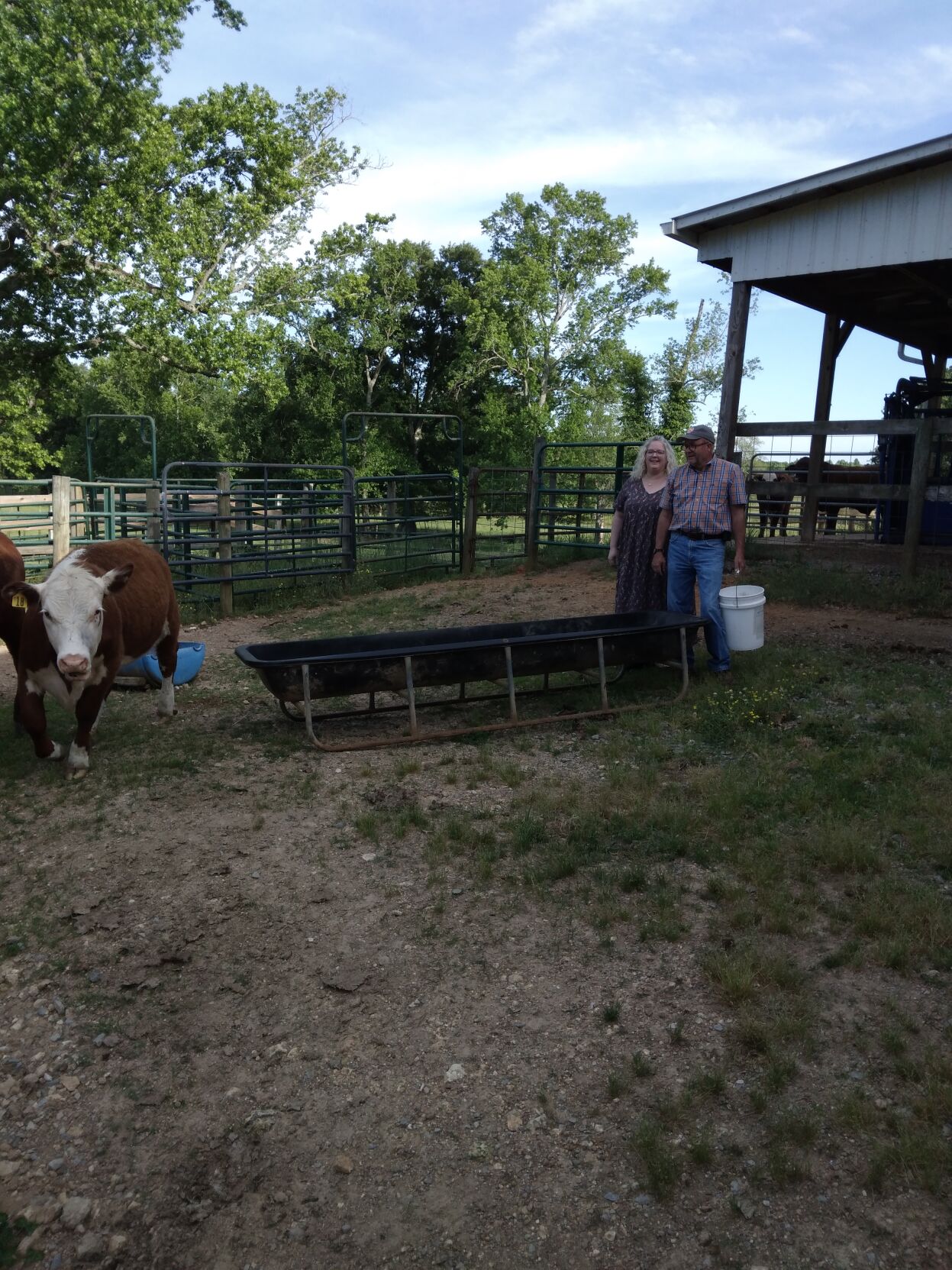 Delap Farm 12.jpg